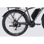 Електровелосипед Formula 29" eMOTION PLUS DD FR рама-19" 48B 15А*г 500Вт 2026 сіро-сріблястий (ELB-FR-29-261)