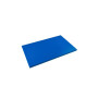 Дошка для нарізання FoREST серія "Resto line" 1/1, 530 х 325 х 15 мм синя (470415)