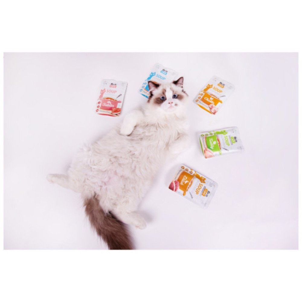 Вологий корм для кішок Brit Care Soup with Salmon з лососем 75 г (8595602569212)