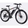 Електровелосипед Formula 29" eMOTION PLUS DD FR рама-19" 36B 12.5А*г 500Вт 2026 сіро-сріблястий (ELB-FR-29-258)