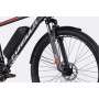 Електровелосипед Formula 29" eMOTION PLUS DD FR рама-19" 36B 12.5А*г 500Вт 2026 сіро-сріблястий (ELB-FR-29-258)