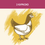 Сухий корм для кішок Purina Cat Chow Urinary Tract Health з куркою 15 кг (5997204514424) Сухий корм для кішок Purina Cat Chow Urinary Tract Health з куркою 15 кг (5997204514424)