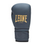 Боксерські рукавички Leone GN059B Blue Edition 10 унцій (капа в комплекті) (GN059B_Blue_10oz)