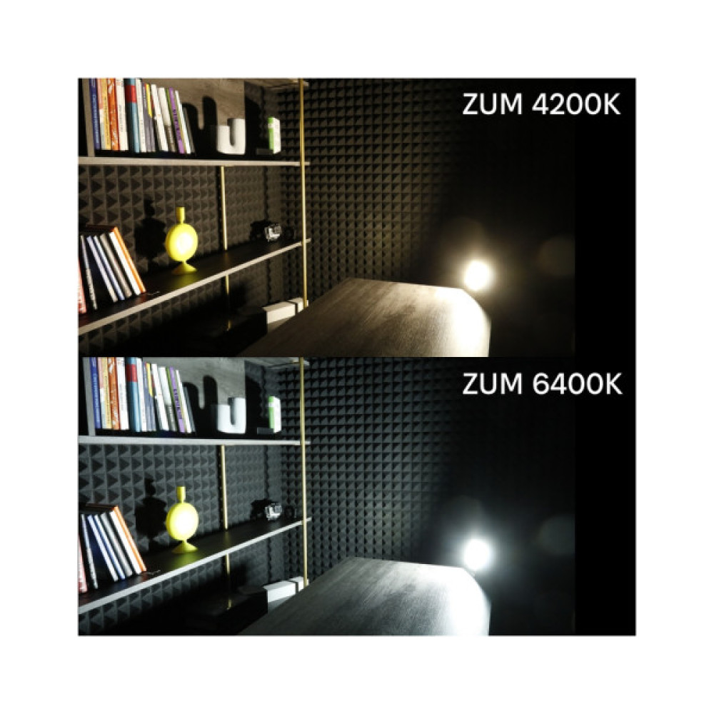 Прожектор Євросвітло ZUM F02-50 4200K