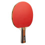 Комплект для настільного тенісу Joola Family Advanced 4 Bats 6 Balls (54823) (930800) Комплект для настільного тенісу Joola Family Advanced 4 Bats 6 Balls (54823) (930800)