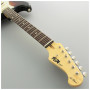 Електрогітара FGN Neo Classic 3-Tone Sunburst (NST110RAL-3TS) Електрогітара FGN Neo Classic 3-Tone Sunburst (NST110RAL-3TS)