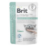 Вологий корм для кішок Brit GF VetDiets Urinary and Stress Relief з індичкою (8595602566723)