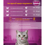 Консерви для котів Whiskas з яловичиною в соусі 400 г (5900951305382) Консерви для котів Whiskas з яловичиною в соусі 400 г (5900951305382)