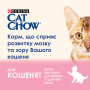 Сухий корм для кішок Purina Cat Chow Kitten з куркою 15 кг (5997204514028) Сухий корм для кішок Purina Cat Chow Kitten з куркою 15 кг (5997204514028)
