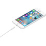 Дата кабель USB 2.0 AM to Lightning 1.0m Model A1480 Apple (MUQW3ZM/A) Дата кабель USB 2.0 AM to Lightning 1.0m Model A1480 Apple (MUQW3ZM/A)