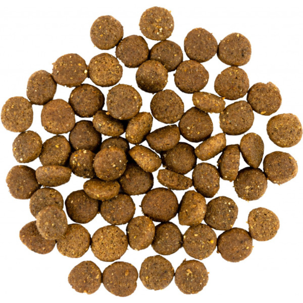 Сухий корм для собак Savory Puppy rich in Fresh Turkey and Chicken 1 кг (4820232630280)