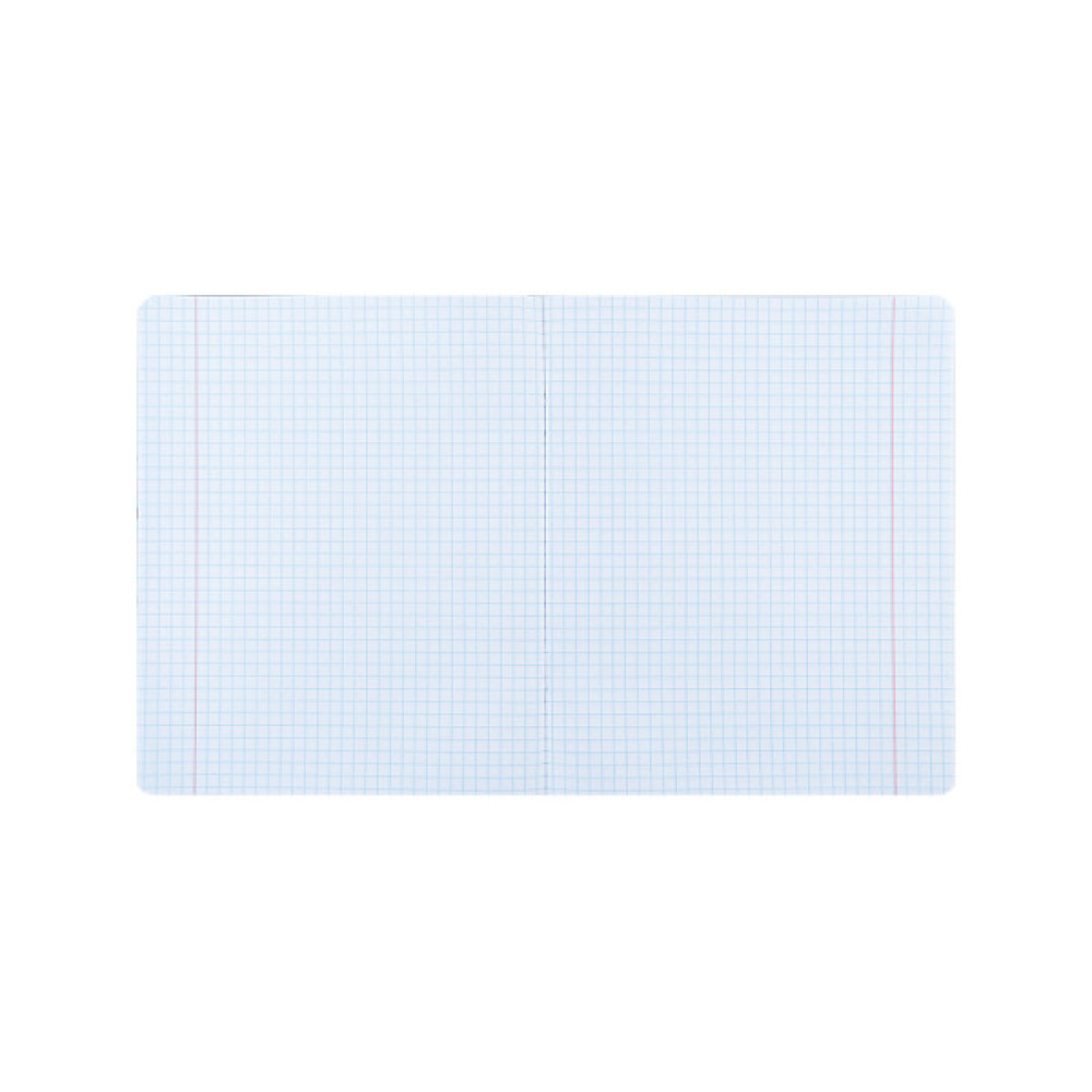 Зошит Kite Ninja Turtles, 12 аркушів, клітинка (NT24-232)