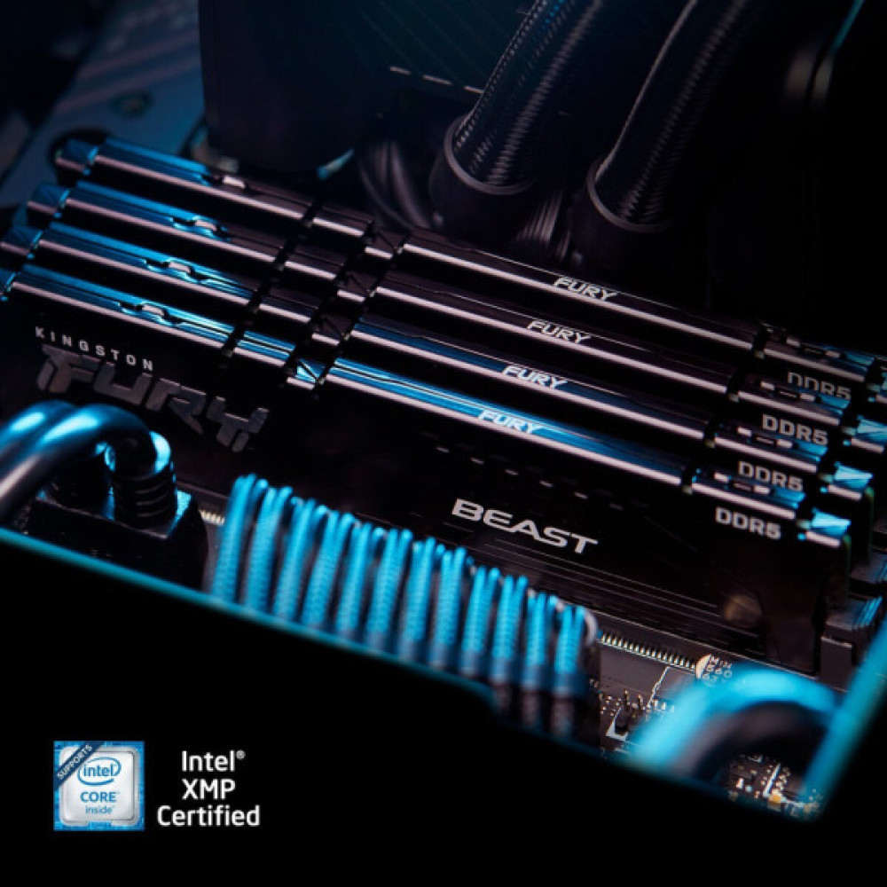 Модуль пам'яті для комп'ютера DDR5 32GB (2x16GB) 5600 MHz Beast AM5 Black Kingston Fury (ex.HyperX) (KF556C36BBEK2-32)