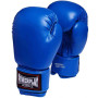 Боксерські рукавички PowerPlay 3004 14oz Blue (PP_3004_14oz_Blue) Боксерські рукавички PowerPlay 3004 14oz Blue (PP_3004_14oz_Blue)