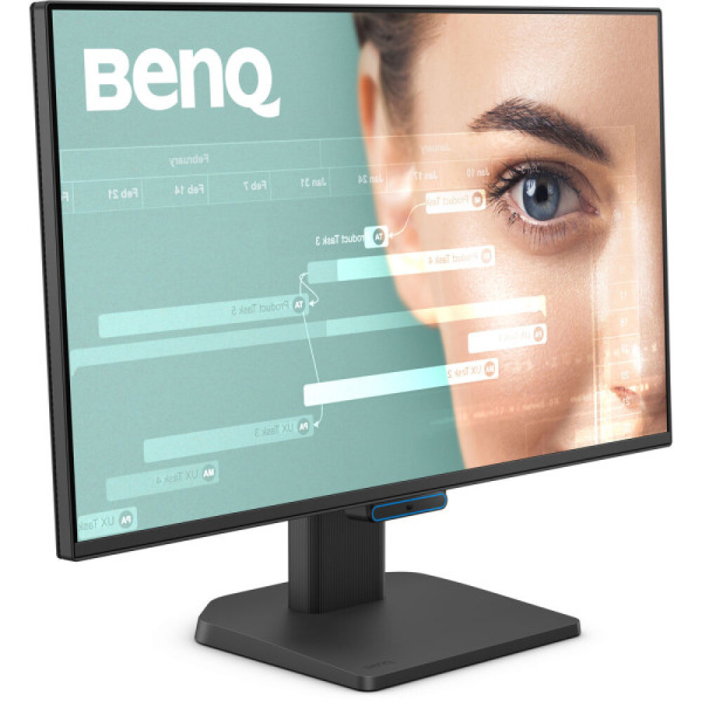 BENQ GW2490C Black (9H.LNKLB.QBE)