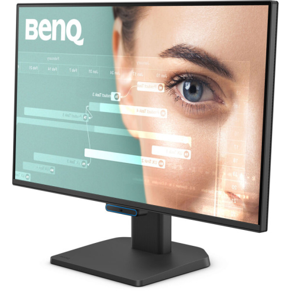 BENQ GW2490C Black (9H.LNKLB.QBE)