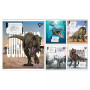 Зошит Yes JURASSIC WORLD ALIVE А5 24 аркушів лінія (767683) Зошит Yes JURASSIC WORLD ALIVE А5 24 аркушів лінія (767683)
