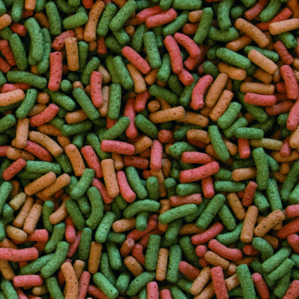 Корм для черепах Tropical Biorept W для земноводних і водних черепах 500 мл/150 г (5900469113653)