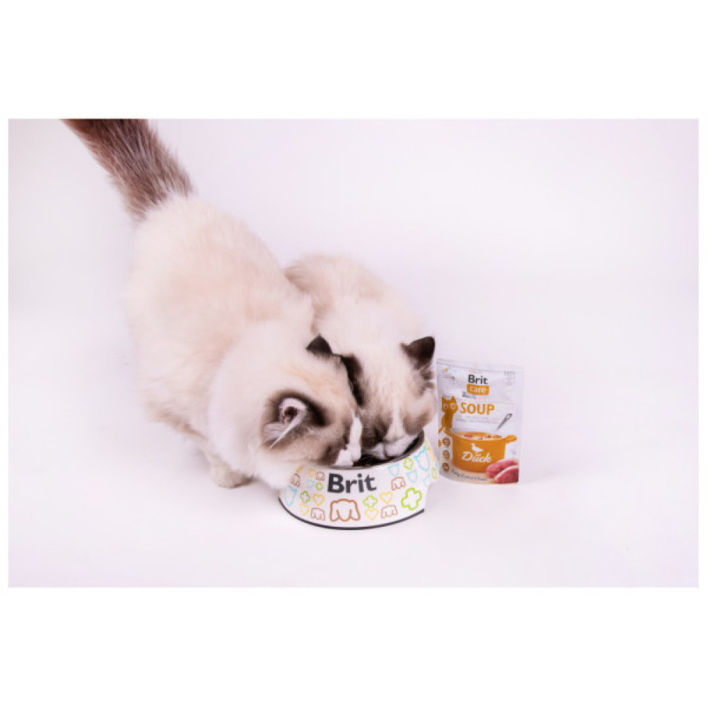 Вологий корм для кішок Brit Care Soup with Duck з качкою 75 г (8595602569182)