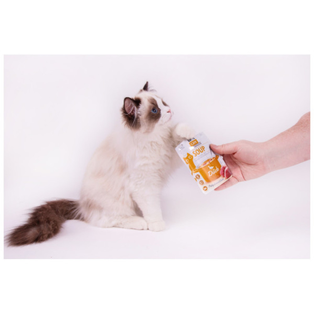 Вологий корм для кішок Brit Care Soup with Duck з качкою 75 г (8595602569182)