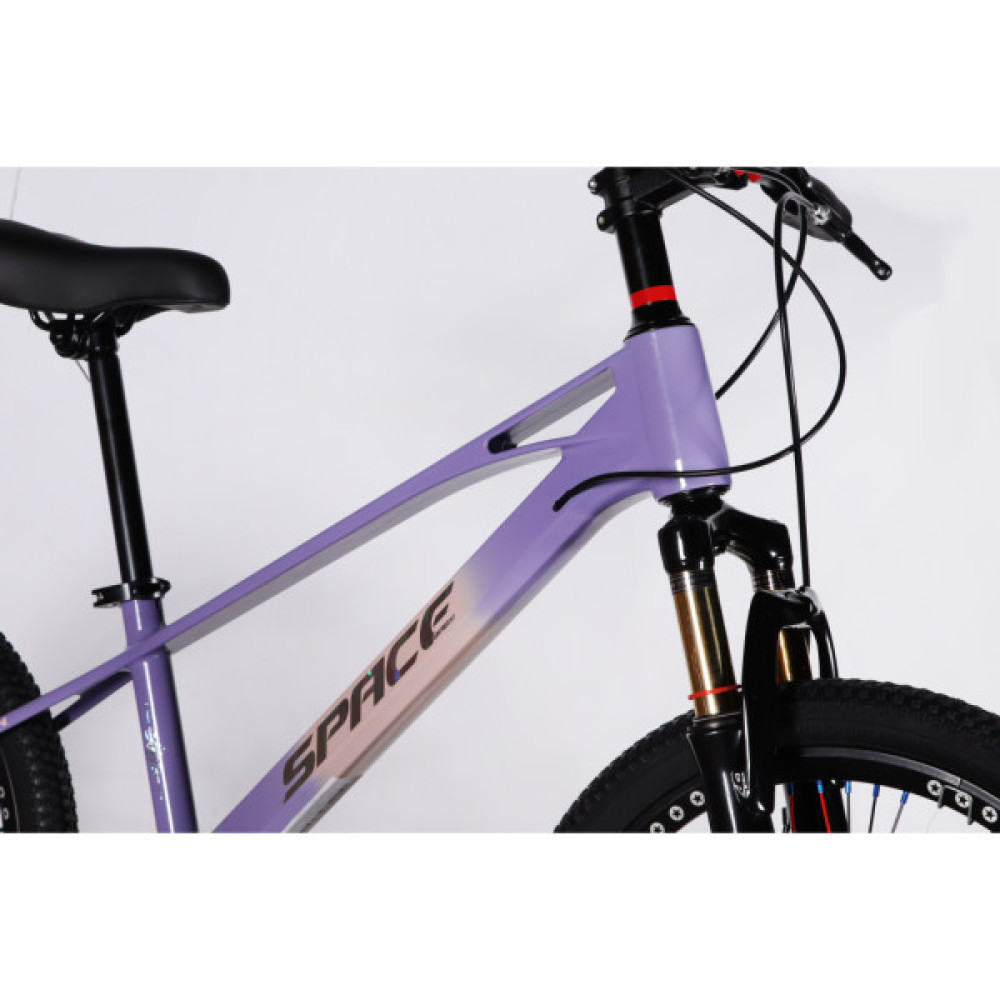 Велосипед Space 20" KID ALIOTH DD FR рама-11" MG 2025 фіолетовий (OPS-SK-20-017)