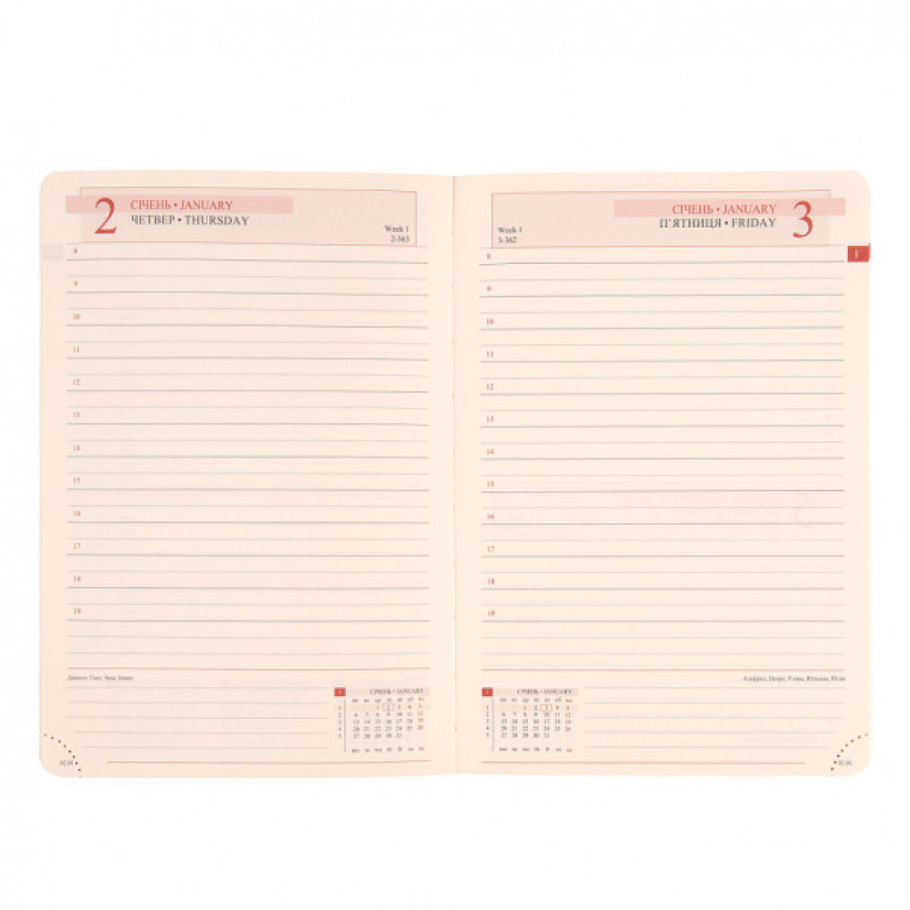 Тижневик Leo planner датований 2025 Identico 12x20 см синій (252512)