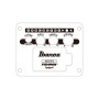 Гітара електроакустична Ibanez AEWC621 BOT (236714)