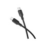 Дата кабель USB-C to USB-C 2.0m 60W Lenny silicone BX113 black BOROFONE (6941991115516)