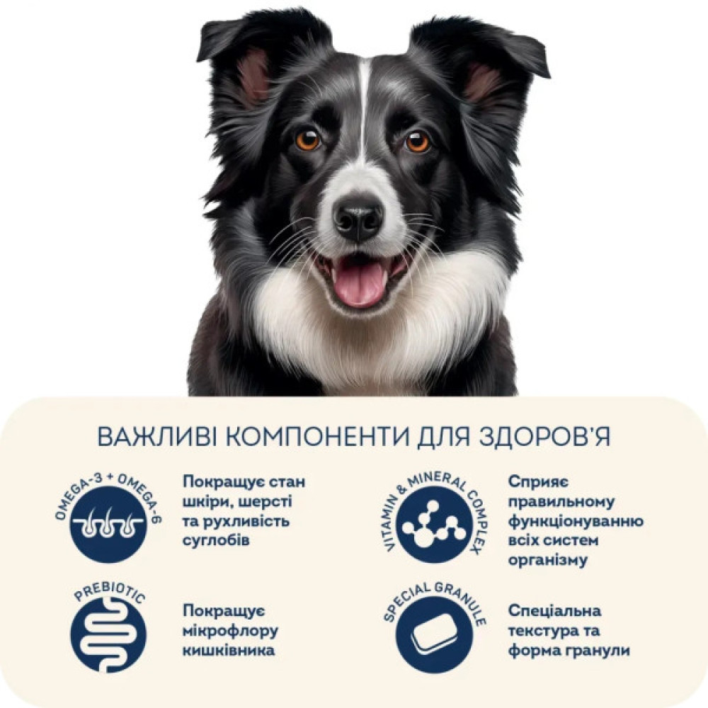 Сухий корм для собак Home Food ADULT MEDIUM/MAXI For active adult and junior dogs з ягням та рисом 10 кг (4820235020453)