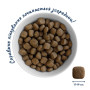Сухий корм для собак Home Food ADULT MAXI Hypoallergenic з фореллю та рисом 3 кг (4820235021375) Сухий корм для собак Home Food ADULT MAXI Hypoallergenic з фореллю та рисом 3 кг (4820235021375)