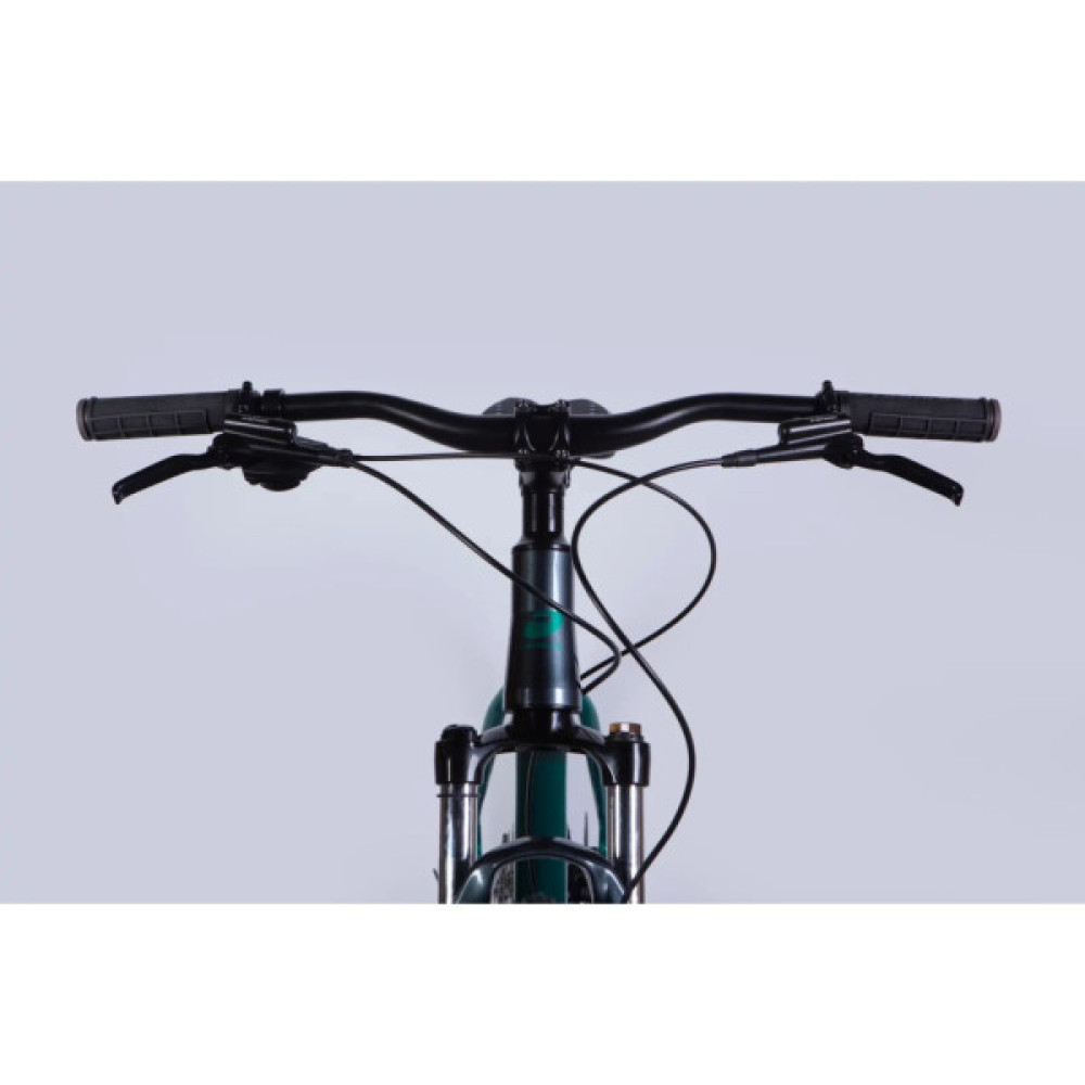 Велосипед Formula 29" ZEPHYR 1.0 HDD рама-19" AL 2026 темно-сріблястий з зеленим (OPS-FR-29-449)