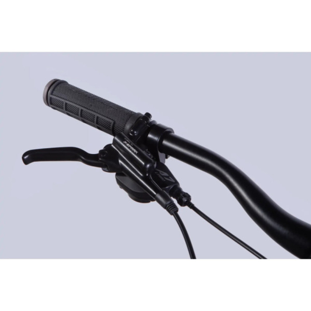 Велосипед Formula 29" ZEPHYR 1.0 HDD рама-19" AL 2026 темно-сріблястий з зеленим (OPS-FR-29-449)