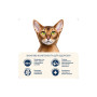 Сухий корм для кішок Home Food Grain-free hypoallergenic Suitable for exotic breeds з качкою та грушею 400 г (4820235020156) Сухий корм для кішок Home Food Grain-free hypoallergenic Suitable for exotic breeds з качкою та грушею 400 г (4820235020156)