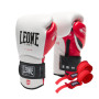 Боксерські рукавички Leone GN113 IL Tecnico N3 White 10 унцій (GN113_White_10oz)