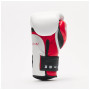 Боксерські рукавички Leone GN113 IL Tecnico N3 White 10 унцій (GN113_White_10oz)