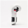 Боксерські рукавички Leone GN113 IL Tecnico N3 White 10 унцій (GN113_White_10oz)