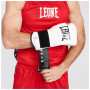 Боксерські рукавички Leone GN113 IL Tecnico N3 White 10 унцій (GN113_White_10oz)
