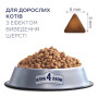 Сухий корм для кішок Club 4 Paws Преміум. З ефектом виведення шерсті 300 г (4820083909313) Сухий корм для кішок Club 4 Paws Преміум. З ефектом виведення шерсті 300 г (4820083909313)