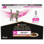 Вологий корм для кішок Purina Pro Plan Veterinary Diets UR ST/OX Urinary З лососем 10 x 85 г (8445290093851) Вологий корм для кішок Purina Pro Plan Veterinary Diets UR ST/OX Urinary З лососем 10 x 85 г (8445290093851)