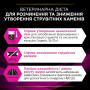 Вологий корм для кішок Purina Pro Plan Veterinary Diets UR ST/OX Urinary З лососем 10 x 85 г (8445290093851) Вологий корм для кішок Purina Pro Plan Veterinary Diets UR ST/OX Urinary З лососем 10 x 85 г (8445290093851)
