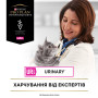 Вологий корм для кішок Purina Pro Plan Veterinary Diets UR ST/OX Urinary З лососем 10 x 85 г (8445290093851) Вологий корм для кішок Purina Pro Plan Veterinary Diets UR ST/OX Urinary З лососем 10 x 85 г (8445290093851)