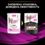 Вологий корм для кішок Purina Pro Plan Veterinary Diets UR ST/OX Urinary З лососем 10 x 85 г (8445290093851) Вологий корм для кішок Purina Pro Plan Veterinary Diets UR ST/OX Urinary З лососем 10 x 85 г (8445290093851)