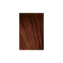 Фарба для волосся Schwarzkopf Professional Igora Royal Absolutes 5-80 Червоний натуральний 60 мл (4045787282337) Фарба для волосся Schwarzkopf Professional Igora Royal Absolutes 5-80 Червоний натуральний 60 мл (4045787282337)