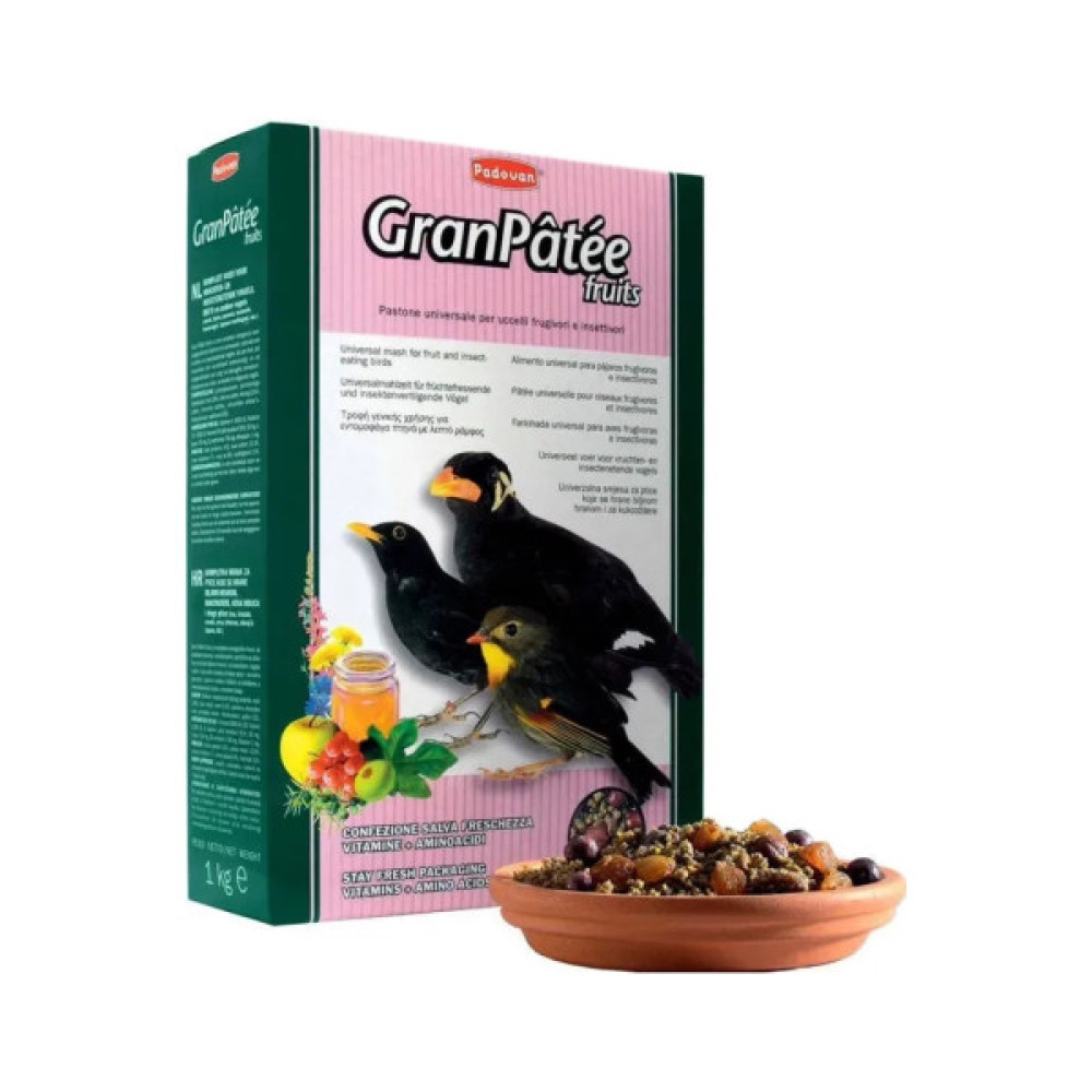 Корм для птахів Padovan Granpatee Fruits для комахоїдних і плодоядних птахів 1 кг (8001254001920)