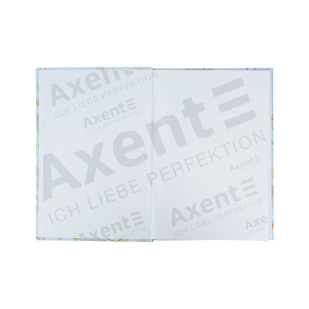 Канцелярська книга Axent Waves А4, 96 аркушів, клітинка, блакитна (8422-560-A)