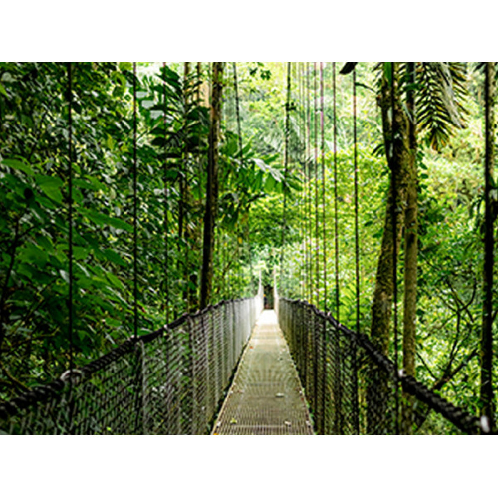 Ноутбук HP Probook 4-G1a 14" WUXGA IPS, AMD R3-210, 24GB, F512GB, UMA, DOS, сріблястий