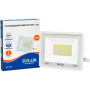 Прожектор Delux FMI 11 50Вт 6500K IP65 (90019309) Прожектор Delux FMI 11 50Вт 6500K IP65 (90019309)