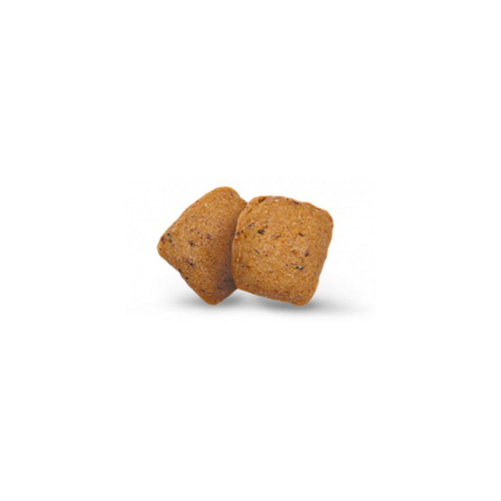 Сухий корм для собак Green Petfood InsectDog Hypoallergen 900 г (4032254748052)