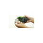 Маска для обличчя Blithe Patting Splash Mask Soothing Green Tea 150 мл (8809501660247)