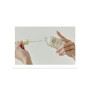 Сироватка для обличчя Abib Jericho Rose Bifida Serum Firming Drop Для пружності шкіри 50 мл (8809292443197) Сироватка для обличчя Abib Jericho Rose Bifida Serum Firming Drop Для пружності шкіри 50 мл (8809292443197)